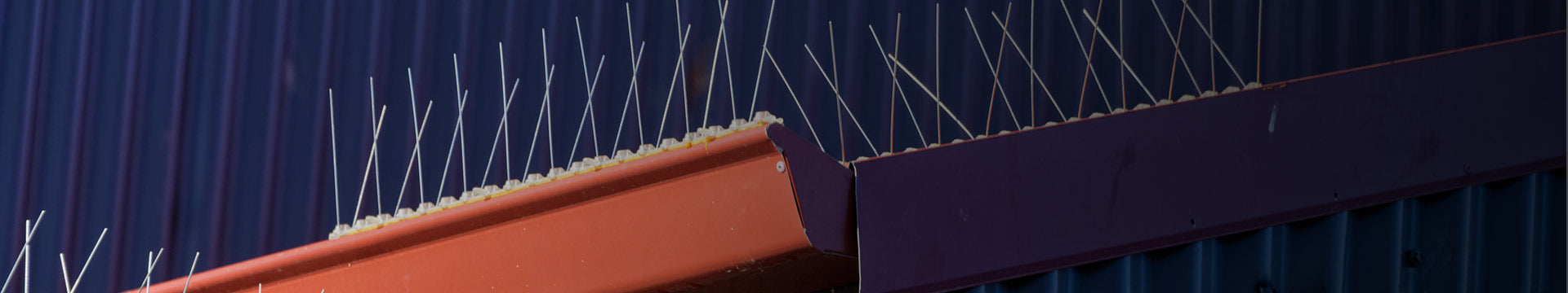 Proteção contra Aves