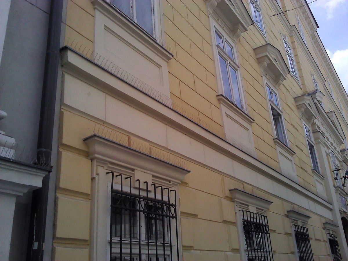 Espanta Pássaros Inox e base Plástico