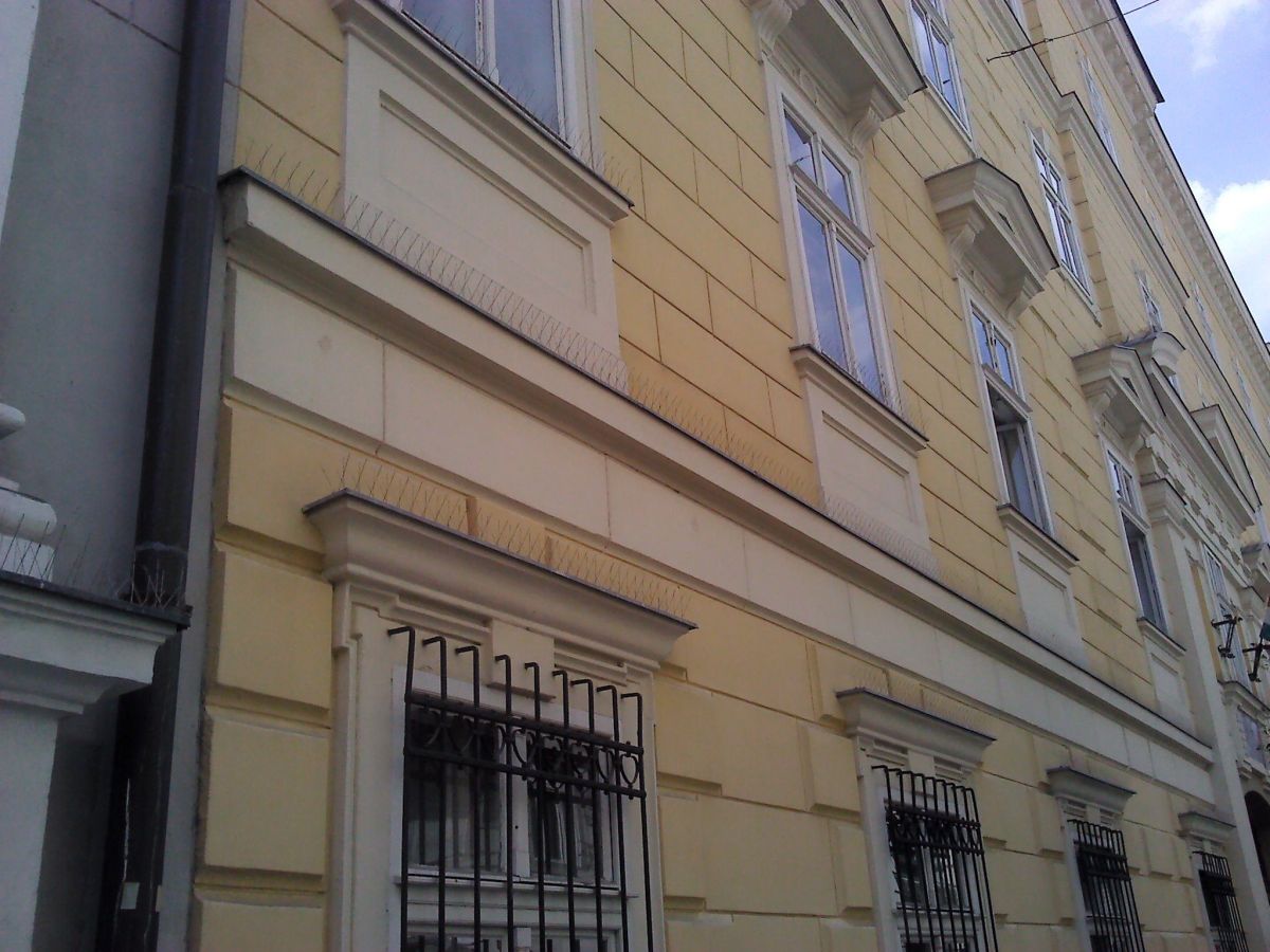 Espanta-pássaros, solução eficaz para afastar aves e proteger estruturas e áreas externas.